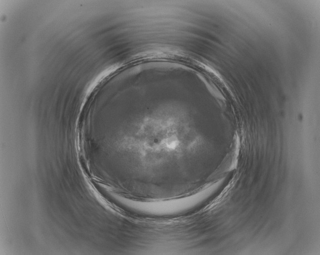 X0000078291034200611251438