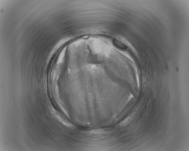 X0000078291035200611251438