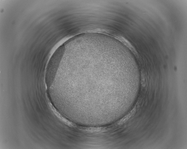 X0000078291036200611251438