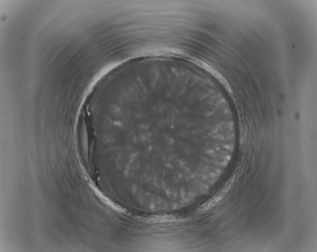 X0000078291037200611251438