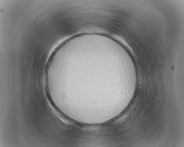 X0000078291040200611251438