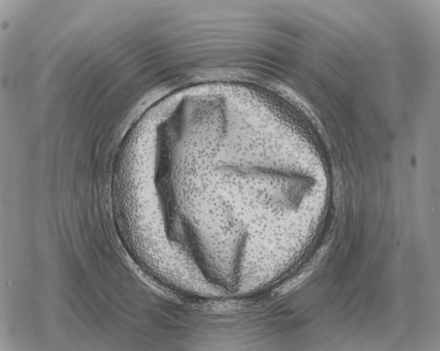 X0000078291041200611251438