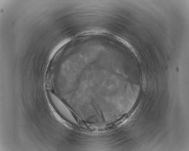 X0000078291042200611251438