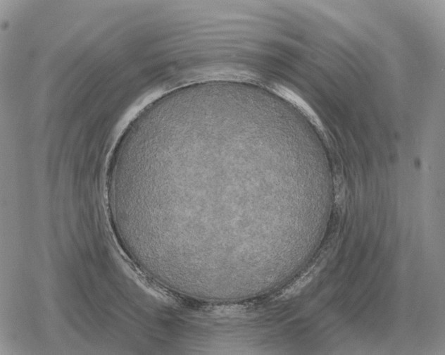 X0000078291043200611251438