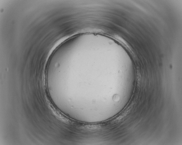 X0000078291044200611251438