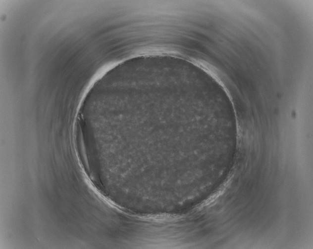 X0000078291045200611251438