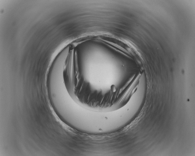 X0000078291046200611251438