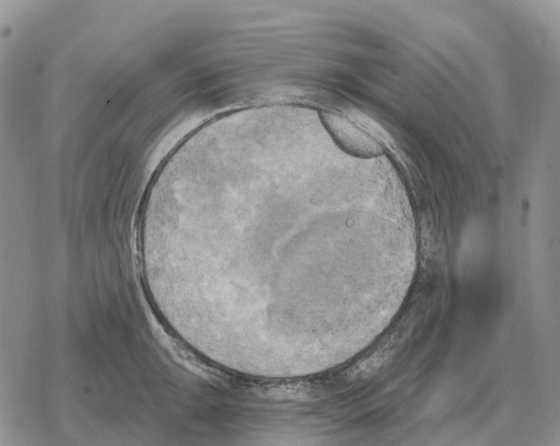 X0000078291047200611251438