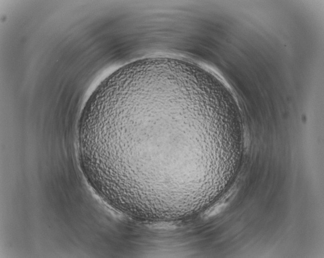 X0000078291048200611251438