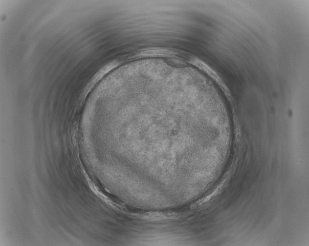 X0000078291049200611251438