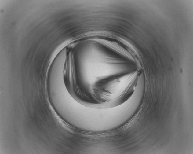 X0000078291050200611251438