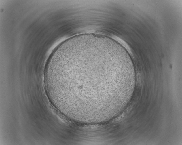 X0000078291051200611251438