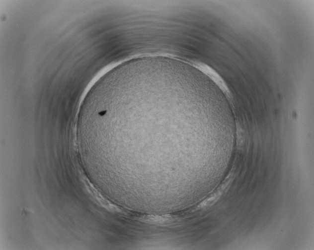 X0000078291052200611251438