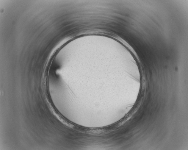 X0000078291053200611251438