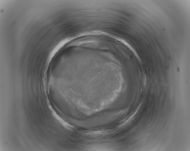 X0000078291054200611251438