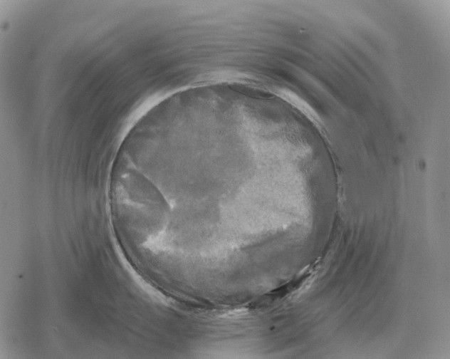 X0000078291055200611251438