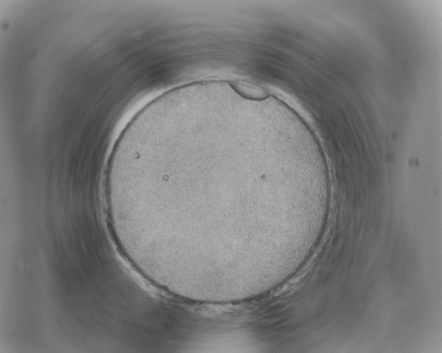 X0000078291056200611251438