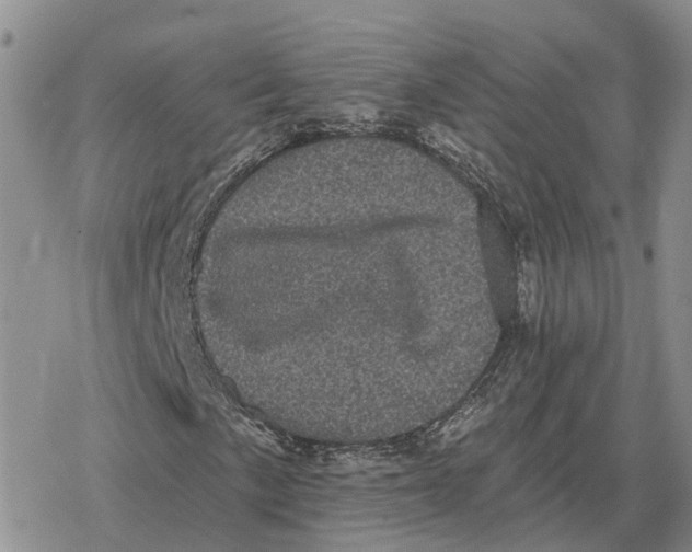 X0000078291057200611251437