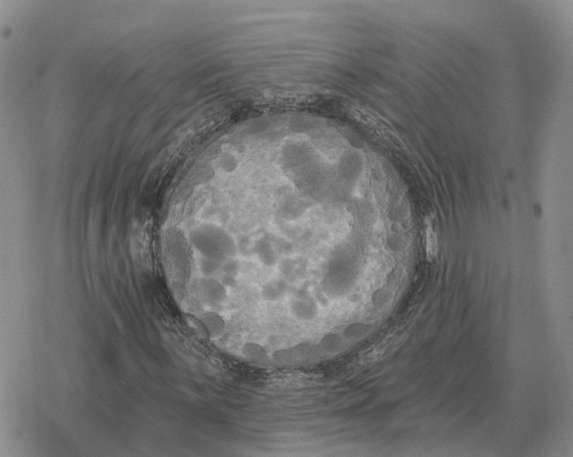 X0000078291059200611251437