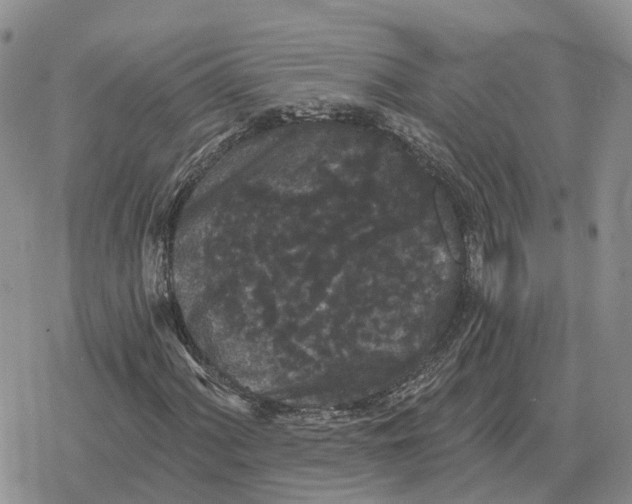 X0000078291060200611251437