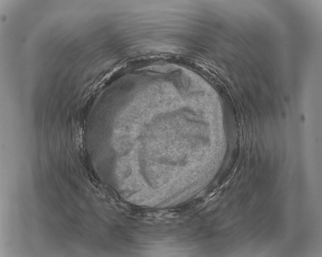 X0000078291061200611251437