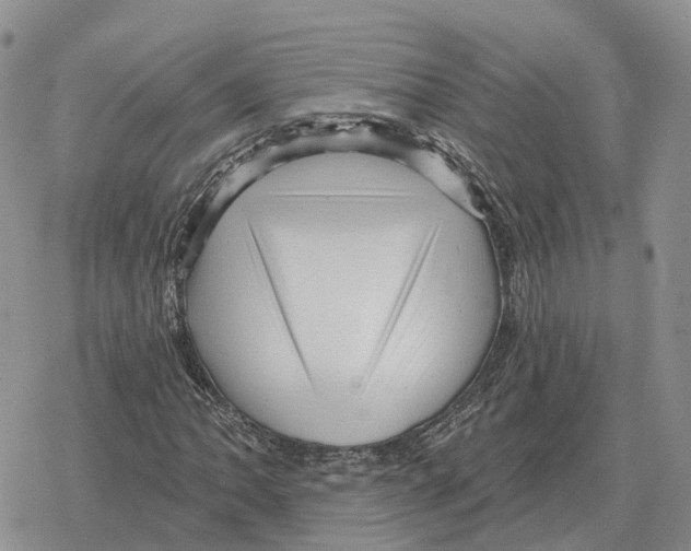 X0000078291062200611251437