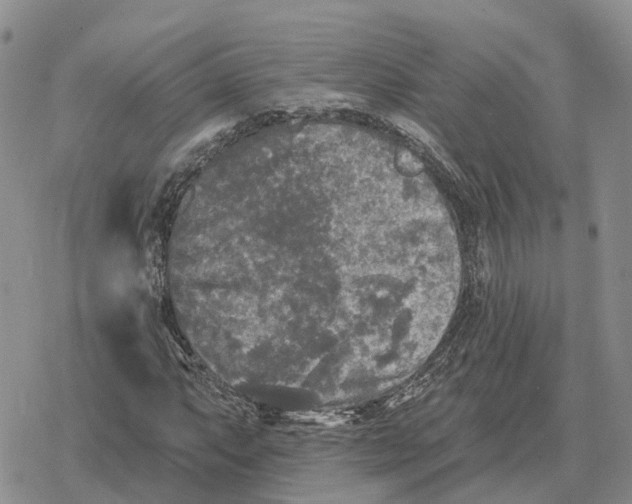 X0000078291063200611251437