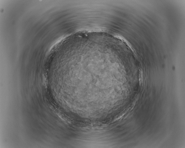 X0000078291064200611251437