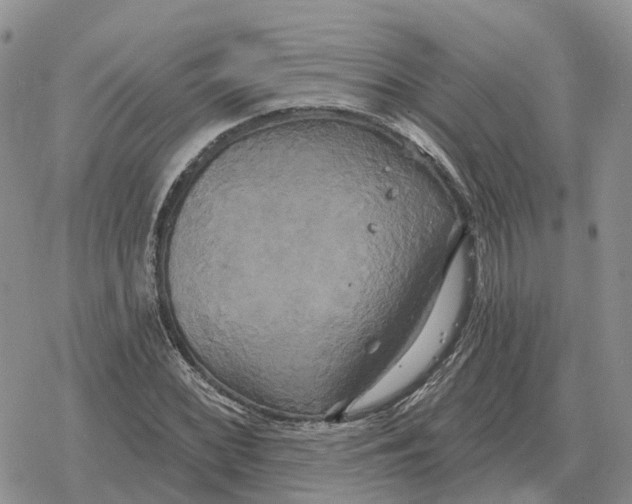 X0000078291068200611251437