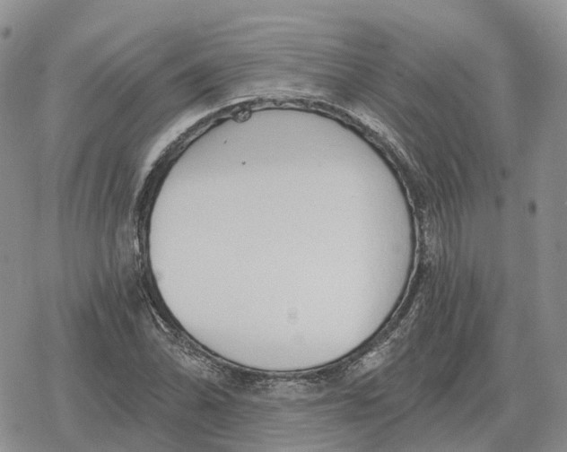 X0000078291070200611251437