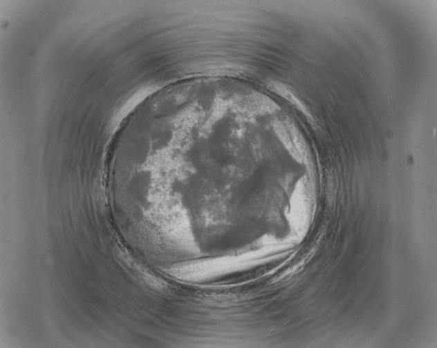 X0000078291071200611251437