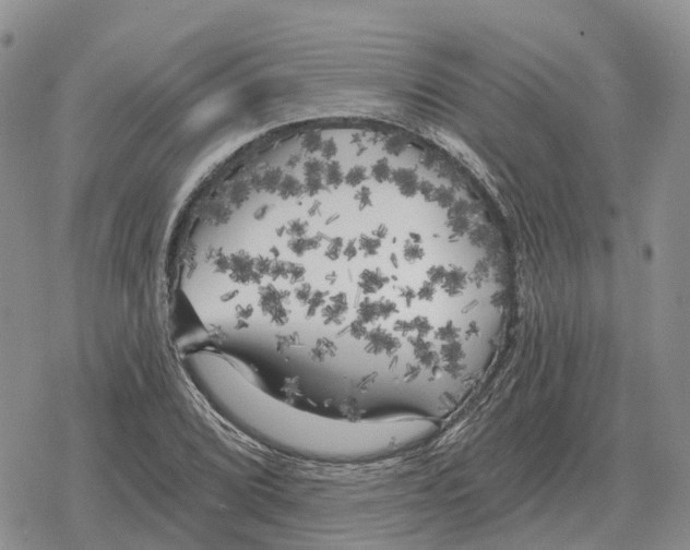 X0000078291072200611251437