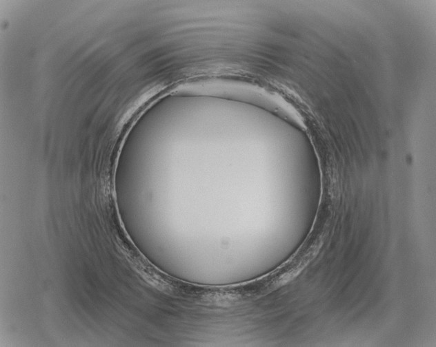 X0000078291073200611251437