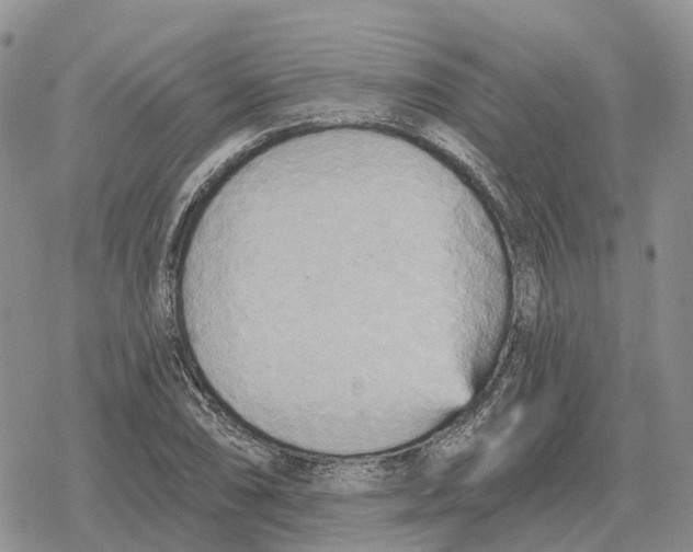 X0000078291074200611251437