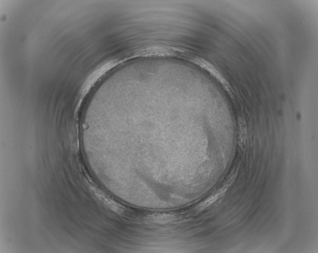 X0000078291075200611251437