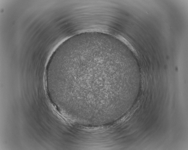 X0000078291076200611251437