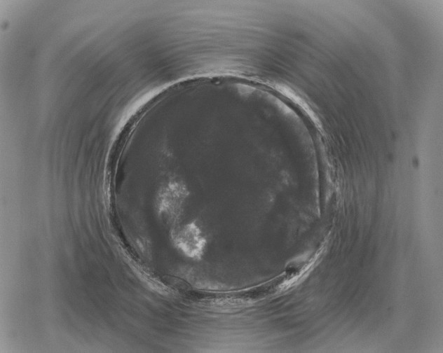 X0000078291077200611251437