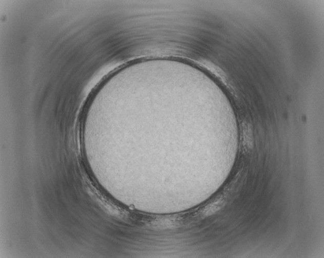 X0000078291078200611251437