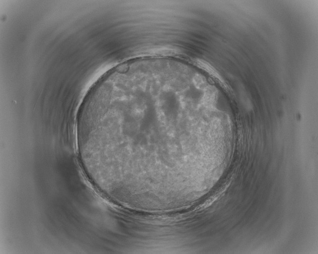 X0000078291079200611251437