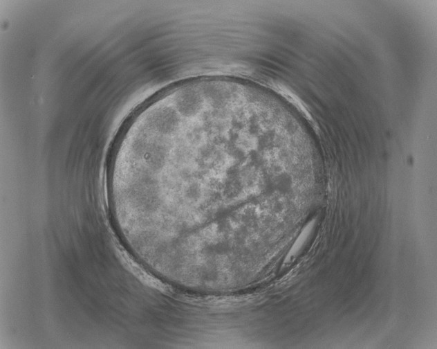 X0000078291080200611251437