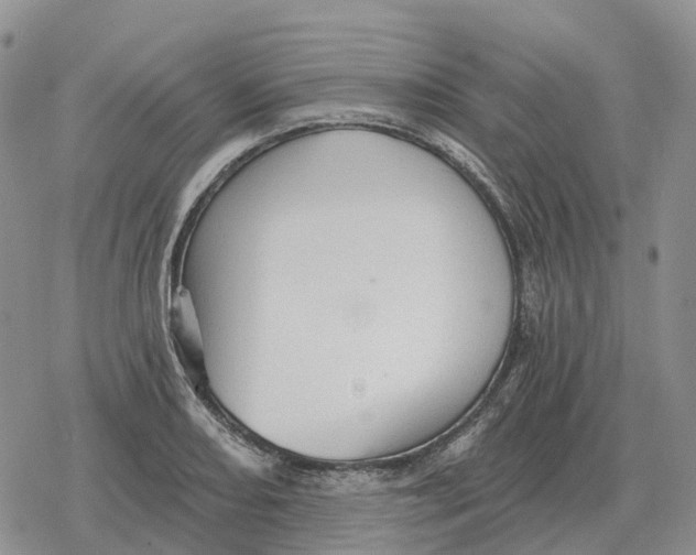 X0000078291082200611251437