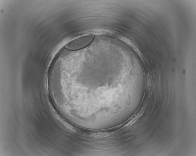 X0000078291083200611251437