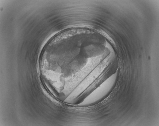 X0000078291084200611251437