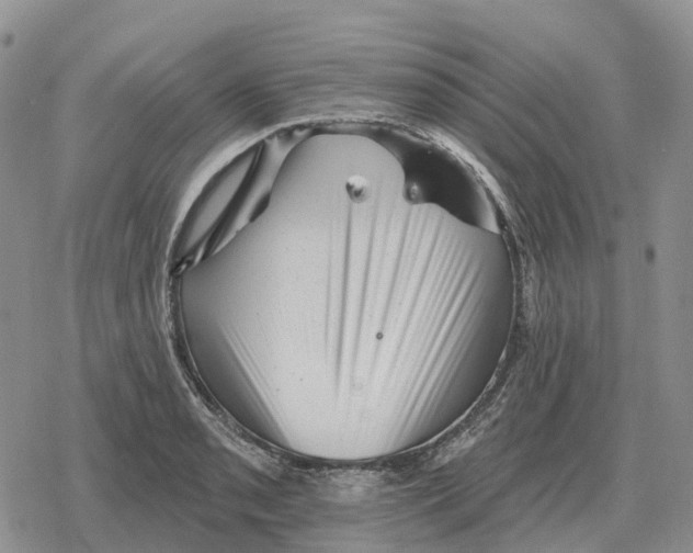 X0000078291085200611251437