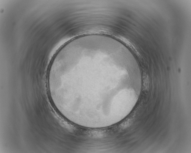 X0000078291086200611251437