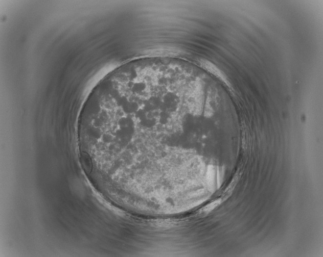 X0000078291087200611251437