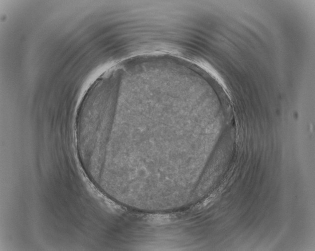 X0000078291088200611251437