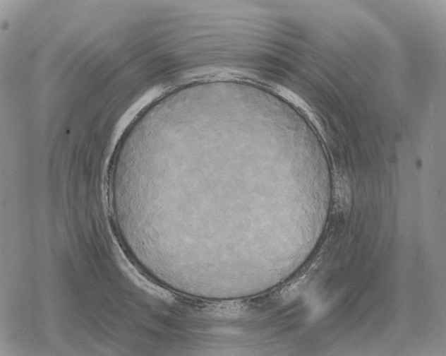 X0000078291090200611251437