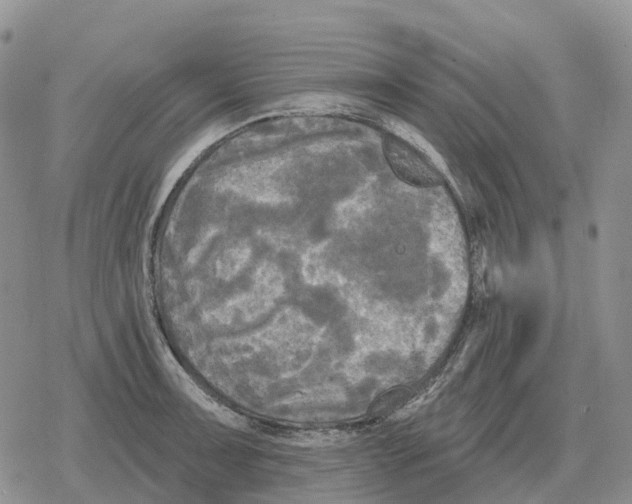 X0000078291091200611251437