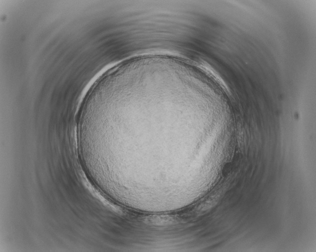 X0000078291092200611251437